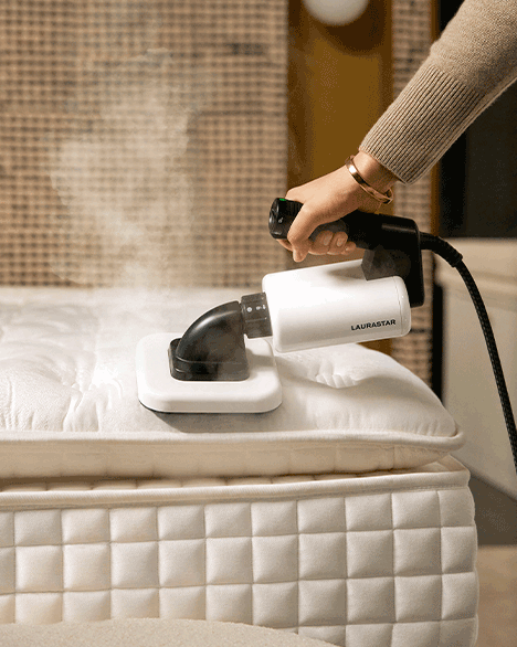 LAURASTAR Purificateur et nettoyeur à vapeur Aura 