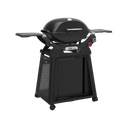 Weber Q2800N+ Barbecues à gaz avec chariot