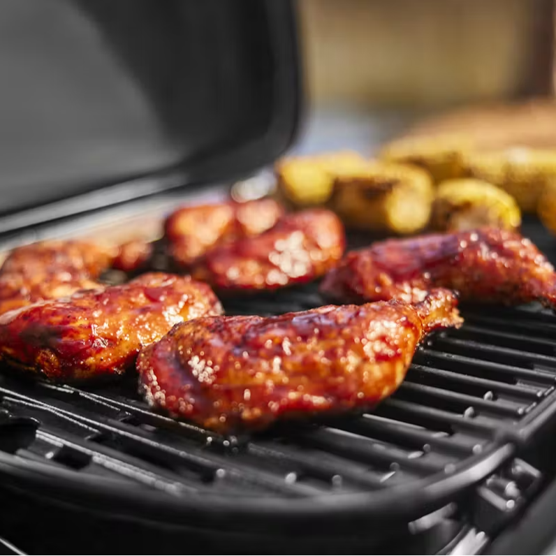 Weber Weber Traveler Compact mini