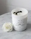 Peonies Bougie parfumée 160g Paris - thé noir & vanille