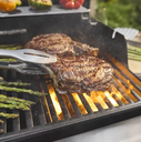 Weber Weber SPIRIT EP-425 GBS Barbecues à gaz