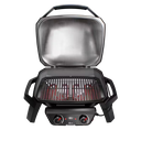 Weber PULSE 2000, Black