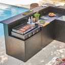 Forge Adour Plancha Modern gaz 75 chassis acier noir 404457