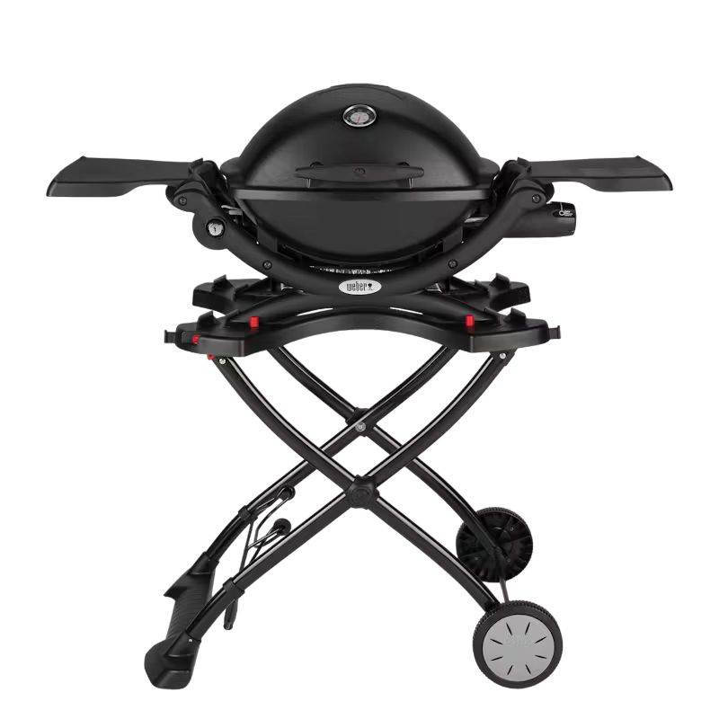 Weber Gril à gaz Q 1200 Mobil Black Line 210375